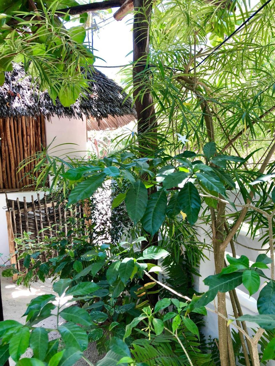 Zanzistar Lodge Джамбиани Экстерьер фото